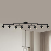 Hiiglxii 12-light black track lighting installed in room